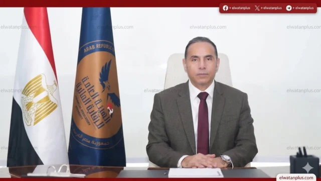 تنظيم المهن التأمينية في مصر