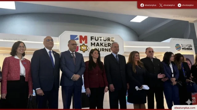 تنمية المشروعات في مصر