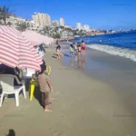 «الأرصاد»: ذروة حرارة على أغلب الأنحاء اليوم.. 42 درجة بجنوب الصعيد وتحذيرات من الشبورة والرياح