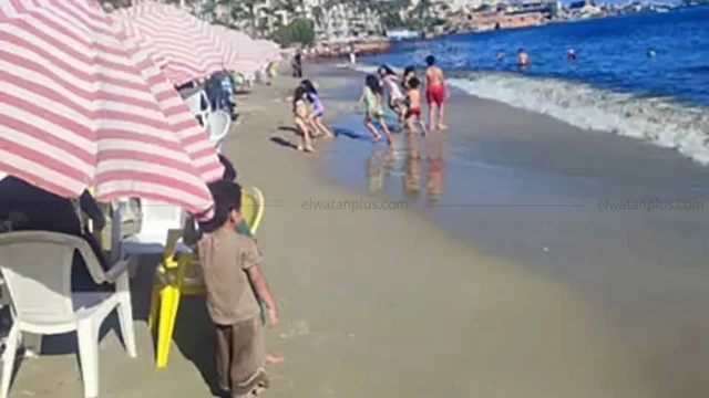 حالة الطقس في مصر اليوم