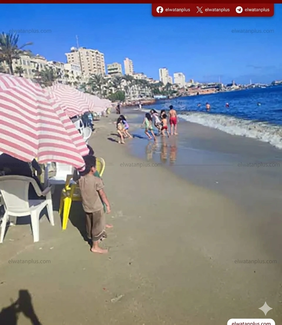 حالة الطقس في مصر اليوم