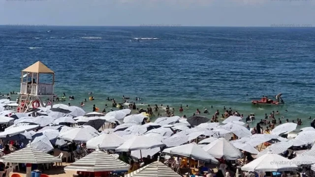 حالة الطقس في مصر مايو 2026