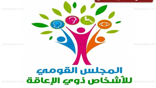 حقوق الاشخاص ذوي الاعاقة في مصر