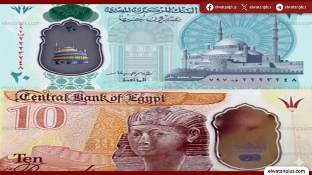 حقيقة وقف العملات البلاستيكية 10 و20 جنيه