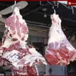 التموين تعلن خطة شاملة لتأمين السلع واللحوم خلال عيد الأضحى وزيادة المعروض بالأسواق
