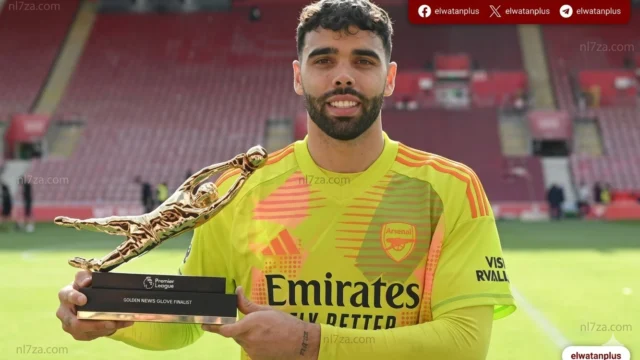ديفيد رايا