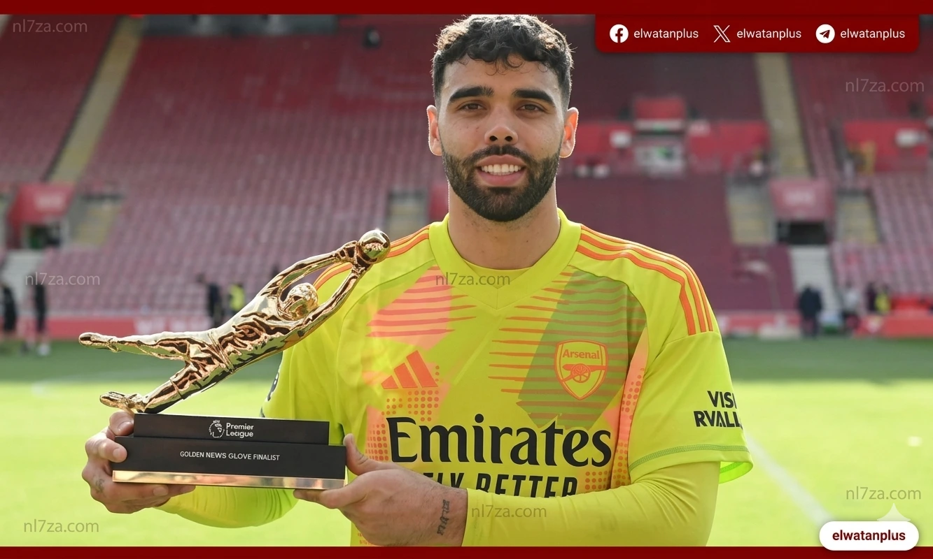 ديفيد رايا
