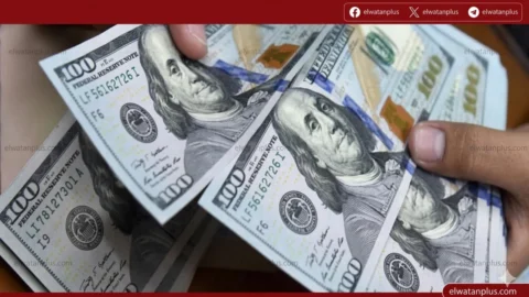 سعر الدولار اليوم