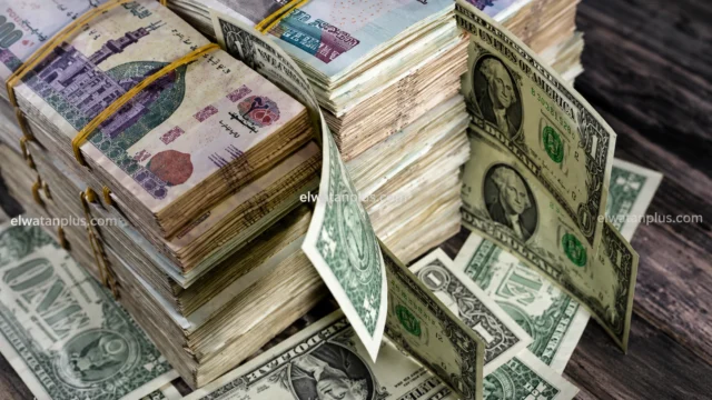 سعر الدولار اليوم في البنوك المصرية