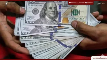 سعر الدولار اليوم في مصر 2026