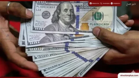 سعر الدولار اليوم في مصر 2026