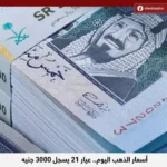 استقرار سعر الريال السعودي أمام الجنيه اليوم الخميس 21-5-2026 بالبنوك المصرية