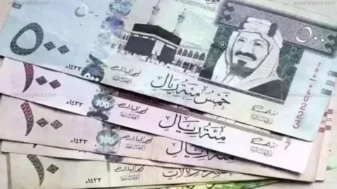 سعر الريال السعودي اليوم في مصر