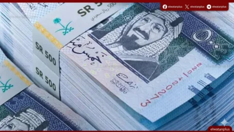سعر الريال السعودي يتجاوز 14 جنيها مع زيادة الطلب مع موسم الحج