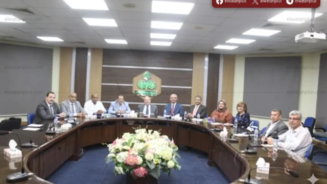 صادرات الصناعات الغذائية المصرية للسعودية 2025