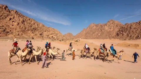 عمرو بدر: مصر تمتلك مقومات قوية لتحقيق طفرة سياحية خلال السنوات المقبلة