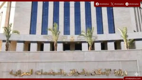 عمرو خطاب