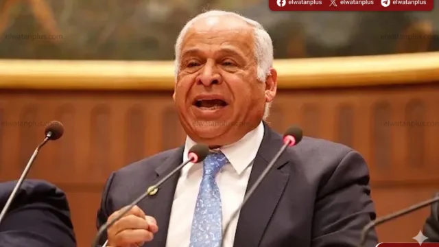 فرج عامر: قرارات إدارية وراء تراجع الأهلي وليس السوشيال ميديا
