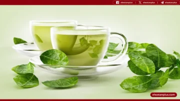 فوائد الشاي الاخضر لصحة القلب والدماغ