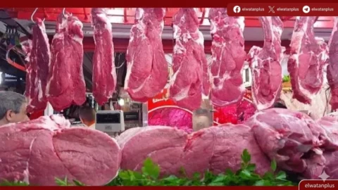 قبل عيد الأضحى.. خبراء يوضحون الأفضل بين شراء اللحوم من الجزار أو السوبر ماركت