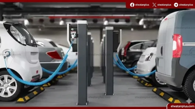 مبيعات السيارات الكهربائية 2026
