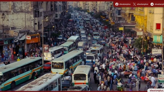 مساهمة السكان في النشاط الاقتصادي مصر