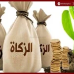 الإفتاء توضح حكم الزكاة على التركة المتأخر توزيعها