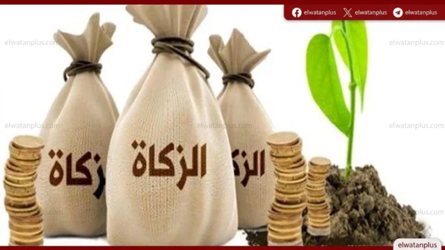 الإفتاء توضح حكم الزكاة على التركة المتأخر توزيعها