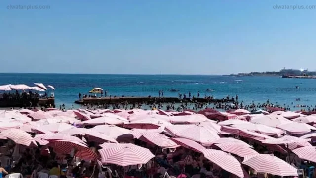 موجة حارة في مصر اليوم