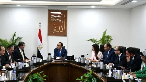 نائب رئيس الوزراء يناقش تطوير شركات الأسمدة وزيادة التصدير