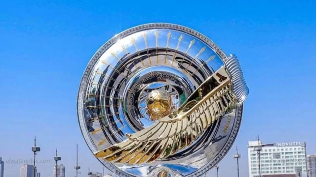 وادي دجلة يتصدر مجموعة الهبوط قبل الجولة الأخيرة بالدوري المصري
