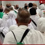 التضامن تعلن وصول 5647 حاجا من بعثة الجمعيات الاهلية