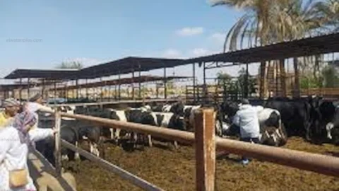 وزارة الزراعة