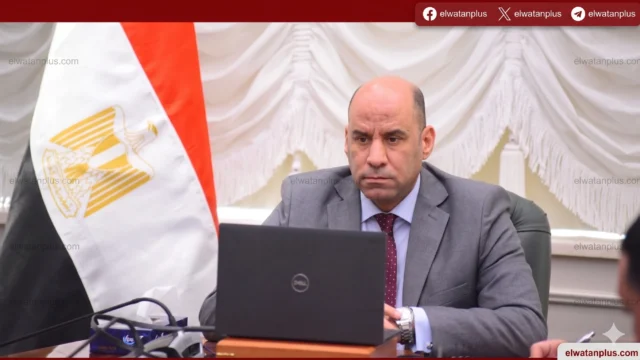 وزير العمل: تحويلات المصريين بالخارج 25.6 مليار دولار ودعم كامل لحقوقهم