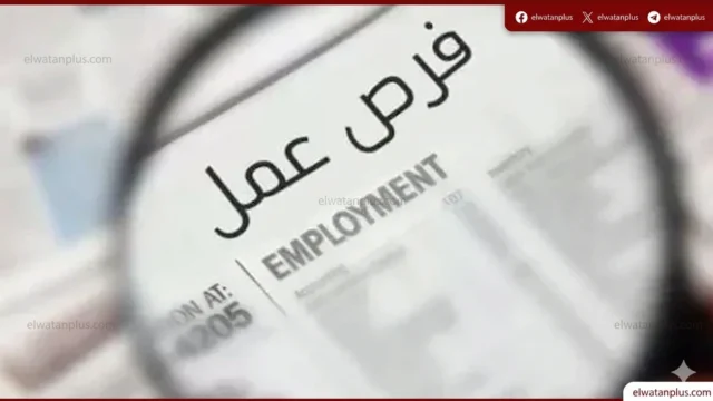 وظائف وزارة العمل 2026