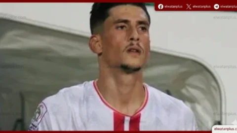 أحمد شوبير