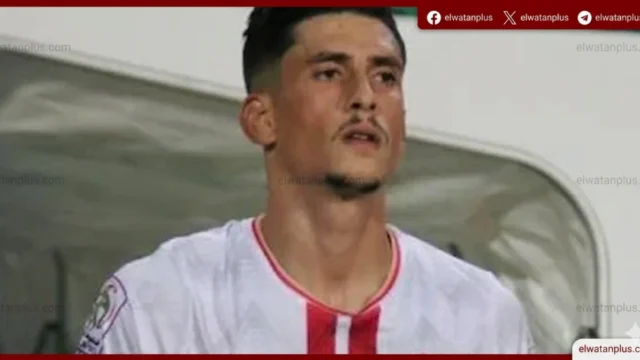 أحمد شوبير