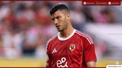 أشرف داري