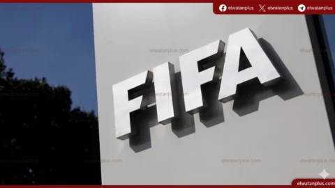 فيفا